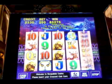 785% Casino Welcome Bonus at Cadoola Casino
