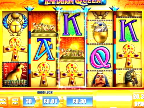 215% First Deposit Bonus at Mongoose Casino