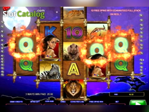 Eur 195 Daily freeroll slot tournament at Punt Casino