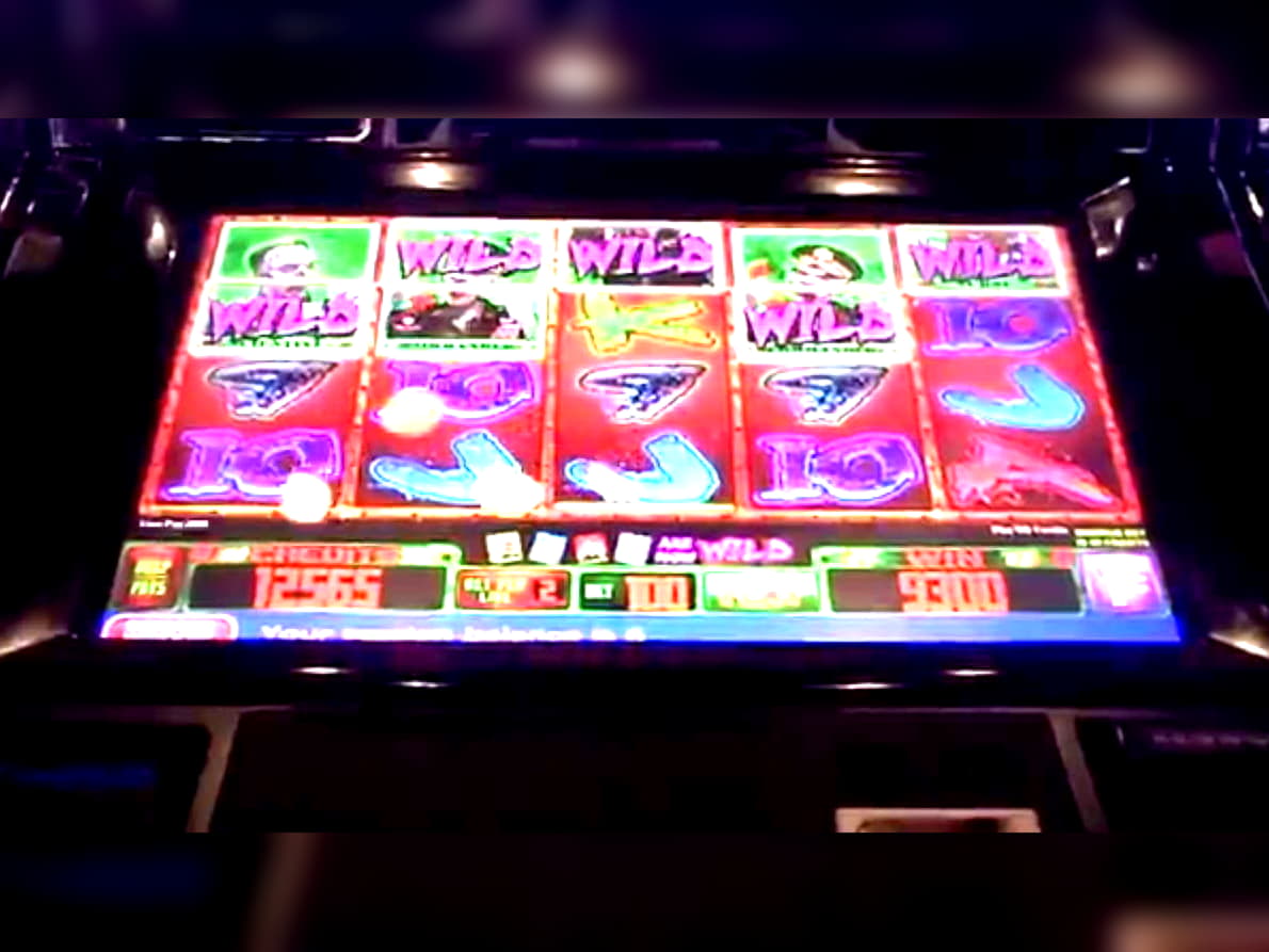 £2255 No Deposit Bonus Code at Casino Luck