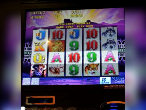 175 free spins no deposit at Casino Dingo