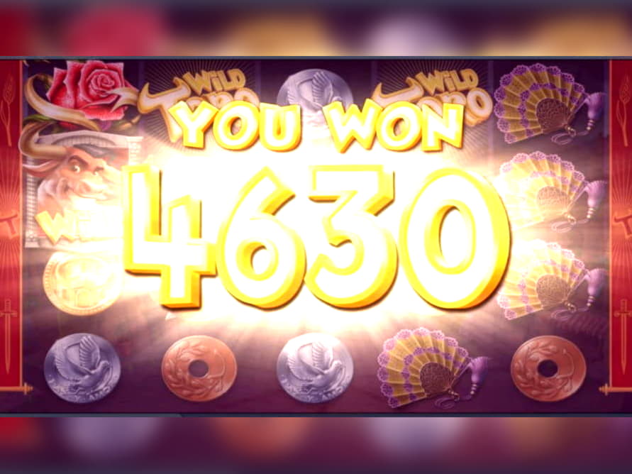 65 Loyal Free Spins! at Next Casino