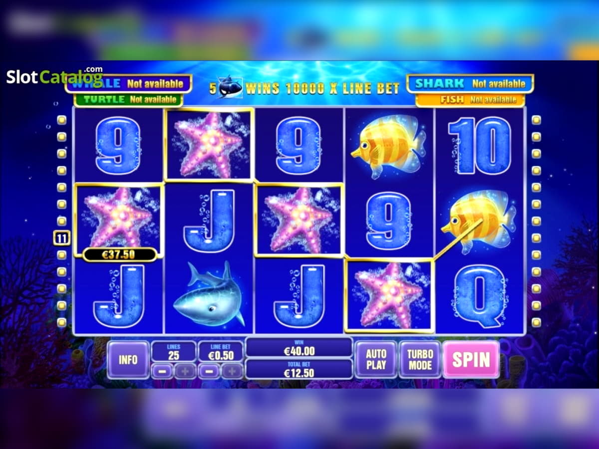 735% Best signup bonus casino at River Belle Casino