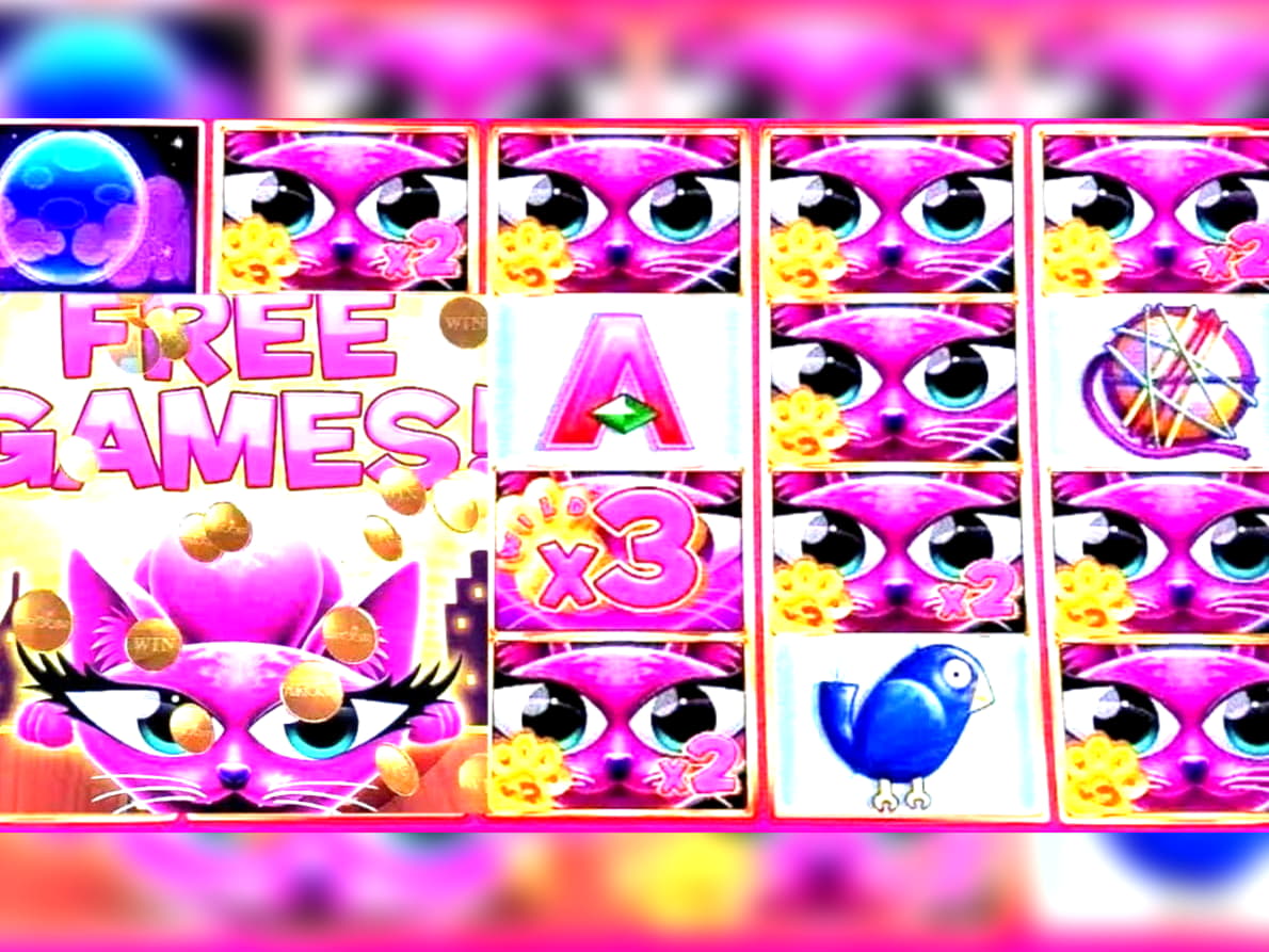 $155 Mobile freeroll slot tournament at Malina Casino