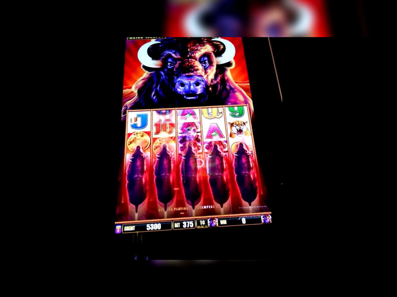 $345 Casino tournaments freeroll at Mega Casino