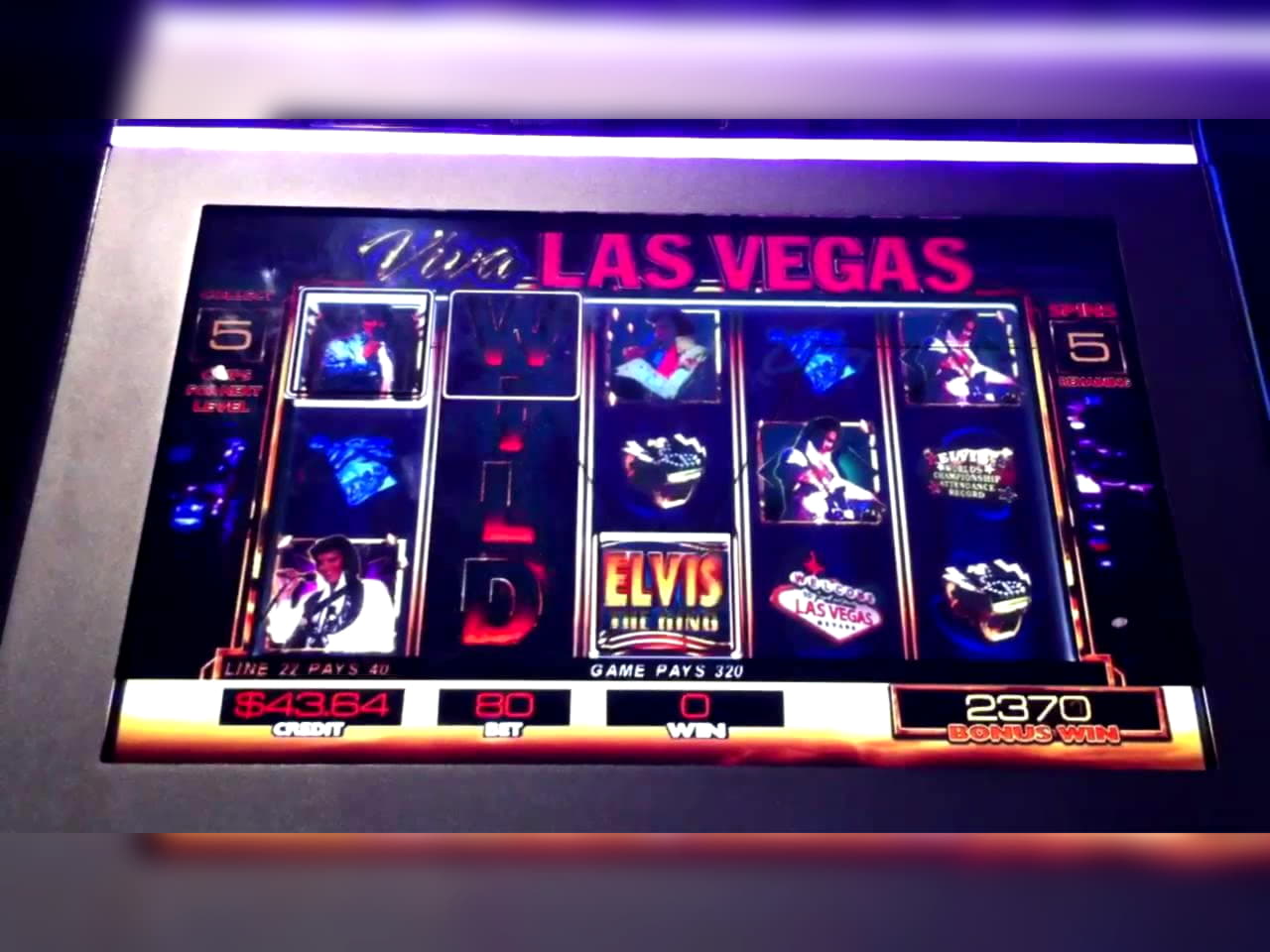 $3295 No Deposit Casino Bonus at Ikibu Casino