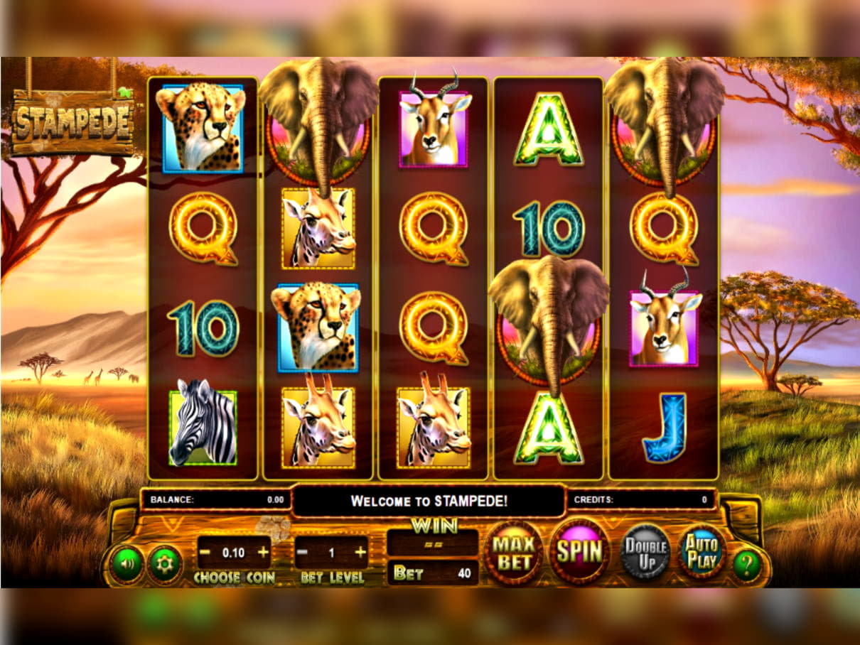 255 Free spins no deposit casino at Opti Bet Casino