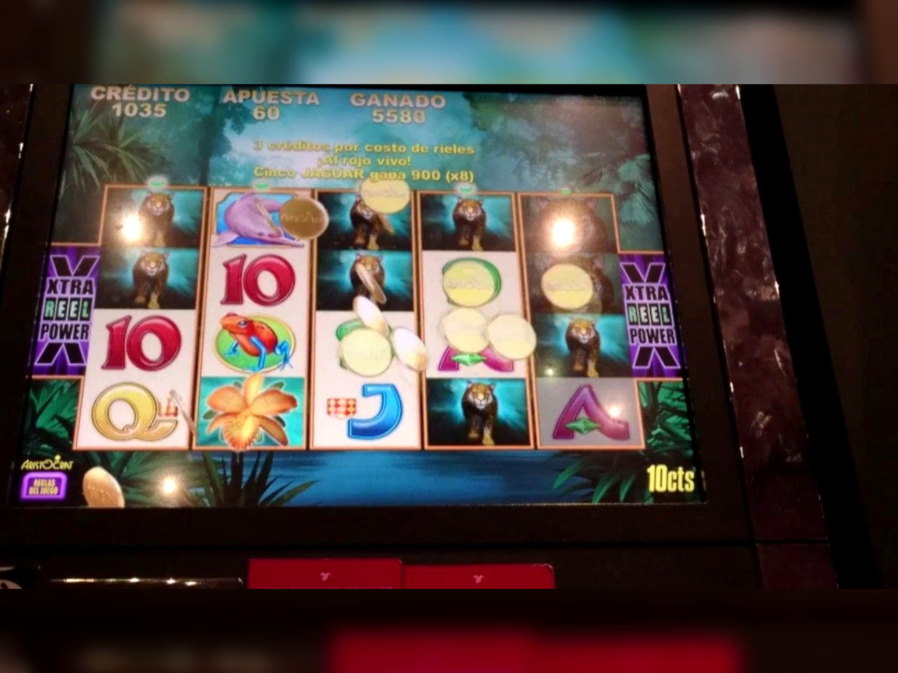 250 free spins no deposit at Opti Bet Casino