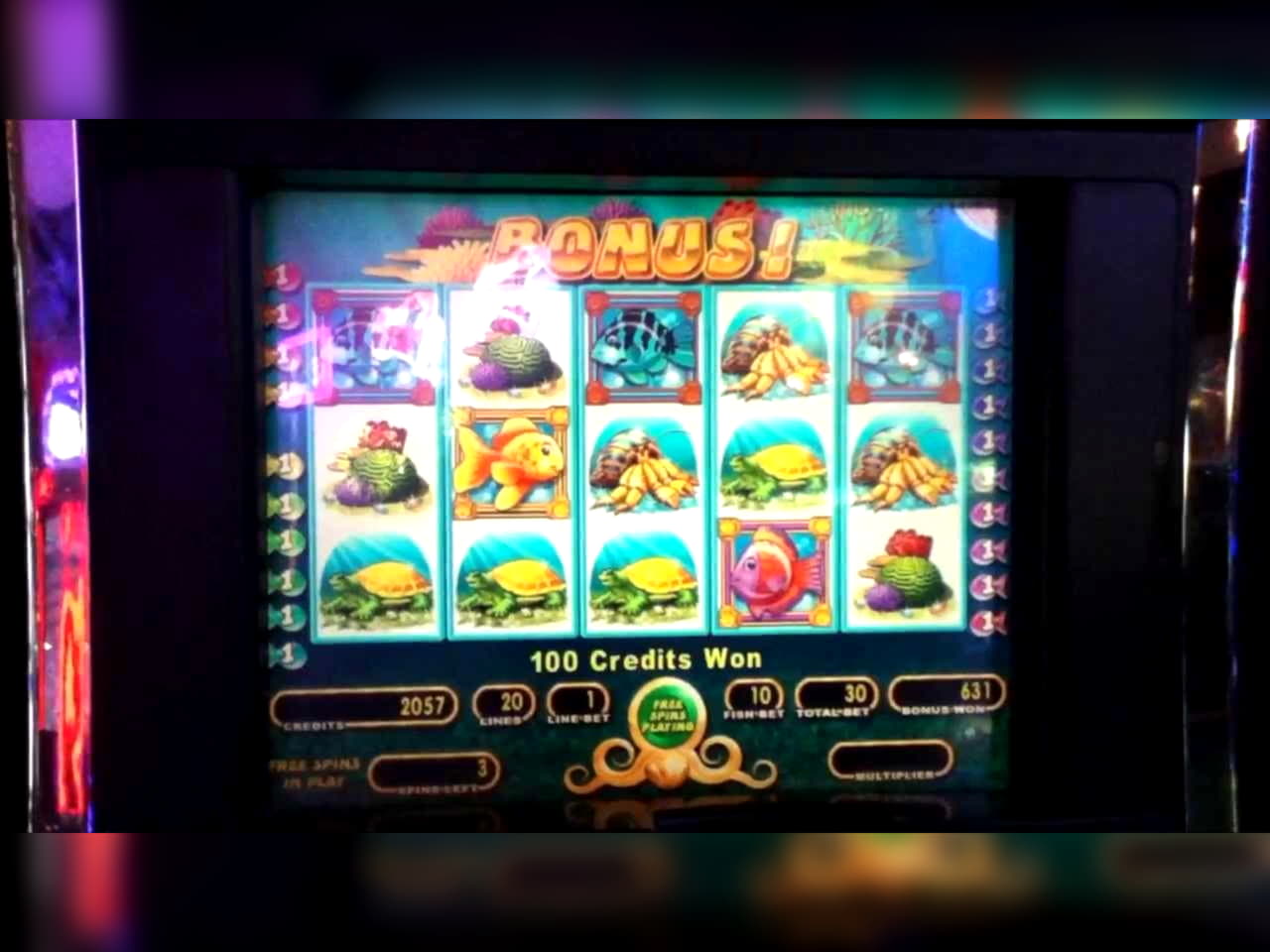 265 FREE SPINS at Casino Share