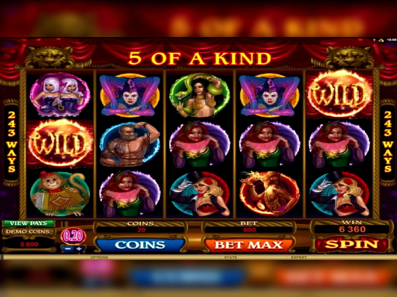 240 FREE Spins at Wish Maker Casino