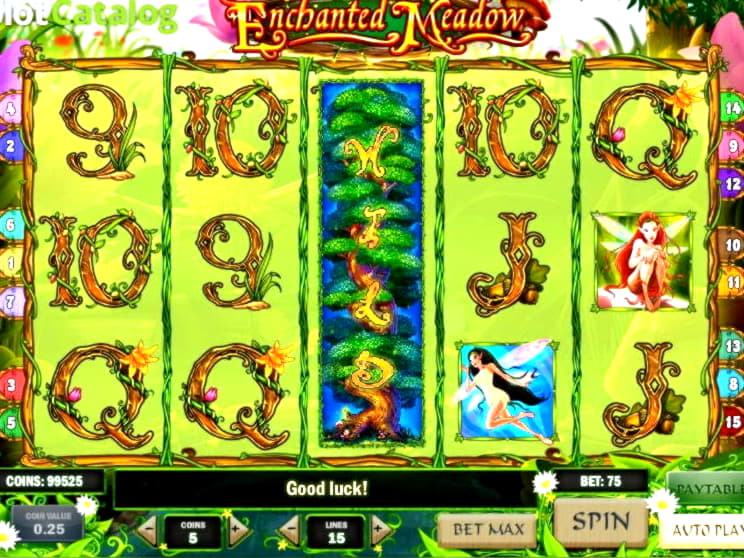 675% First deposit bonus at High Roller Casino