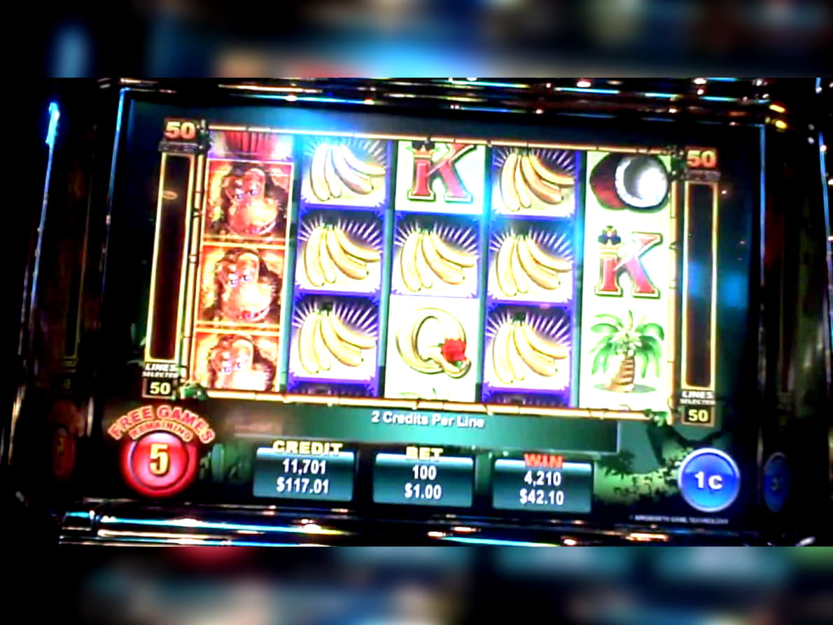 22 Loyal Free Spins! at Gratorama Casino