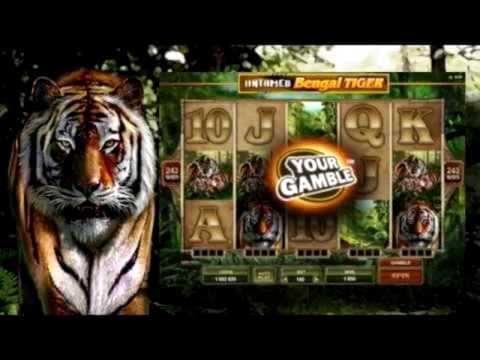 ﻿$320 FREE CHIP at Dutch Casino
