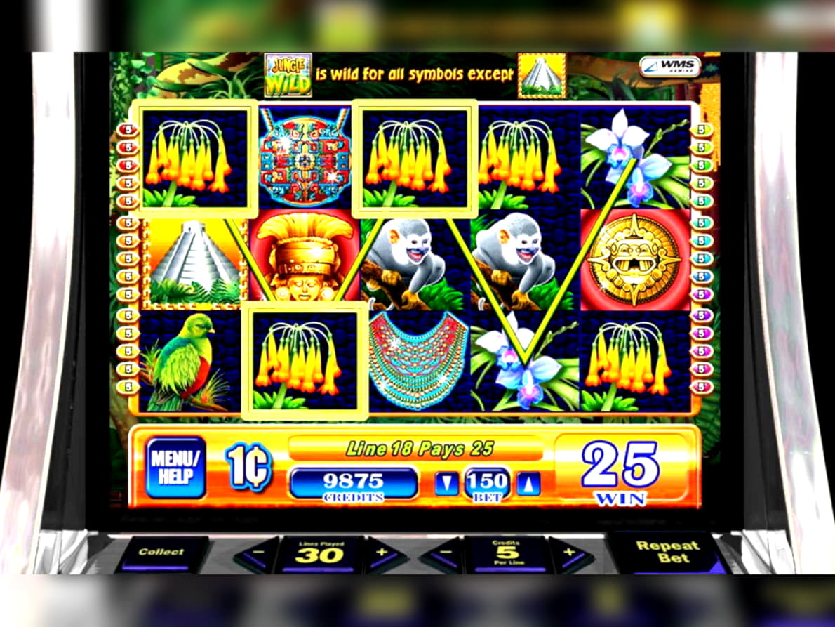 EUR 80 free chip at BGO Casino