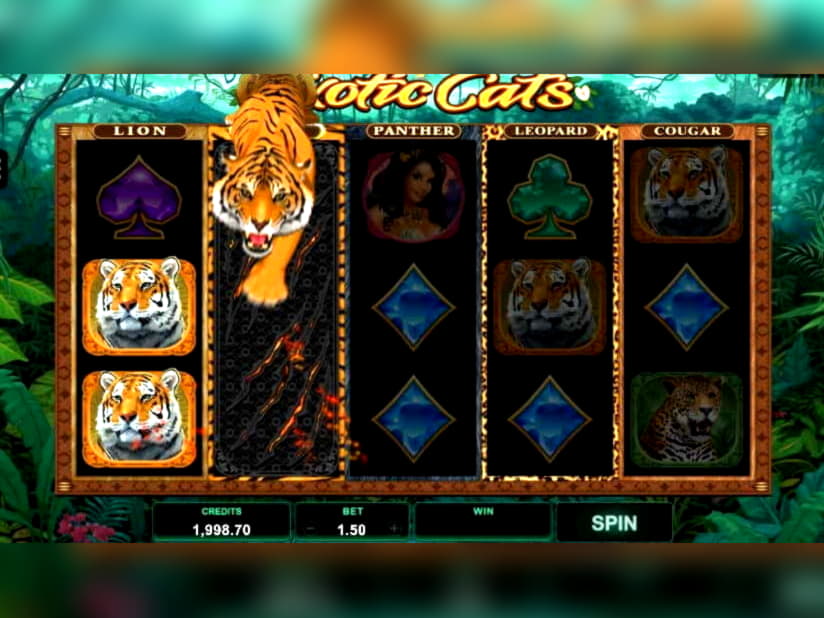 $4465 no deposit bonus at Box 24 Casino