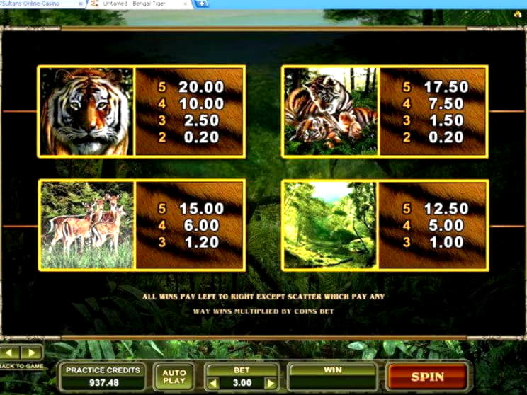 EURO 3345 NO DEPOSIT BONUS at Vera and Jhon Casino