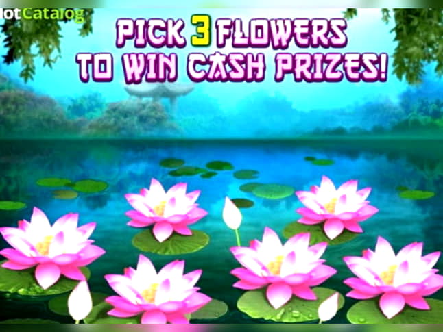 175 Free spins no deposit at Grandivy Casino