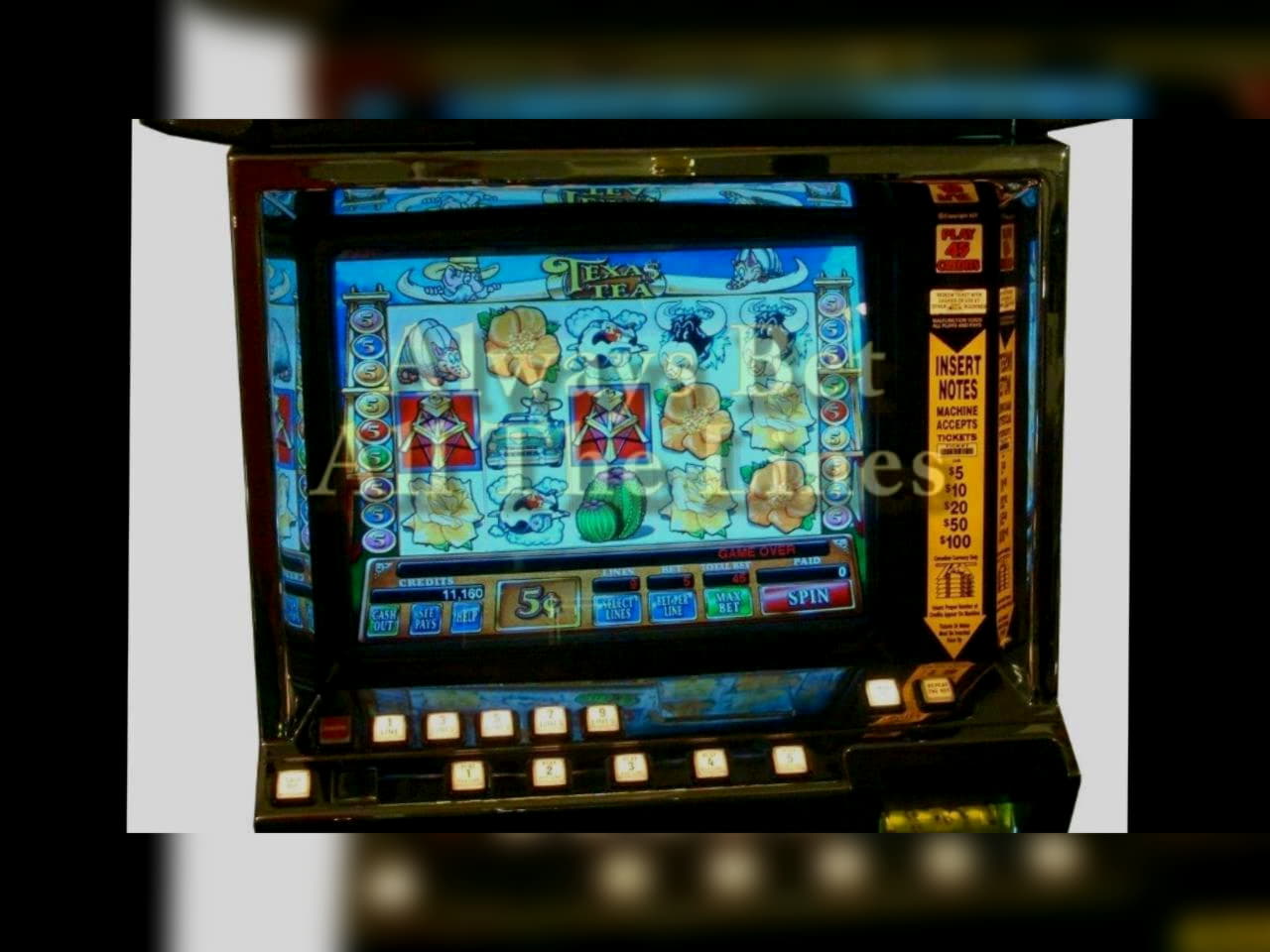 EURO 545 FREE Chip at Magic Red Casino