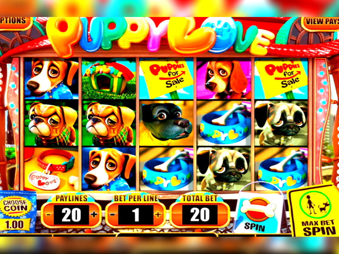 670% Match at a Casino at Hippozino Casino
