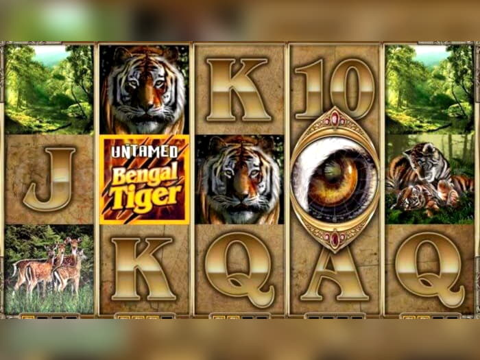 Eur 505 Free casino chip at Spin Palace Casino