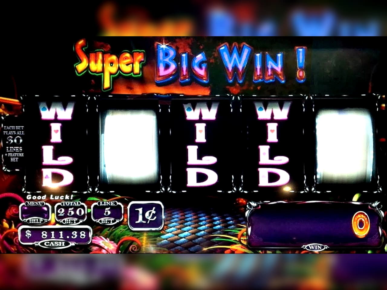 365% Match bonus casino at Campo Bet Casino