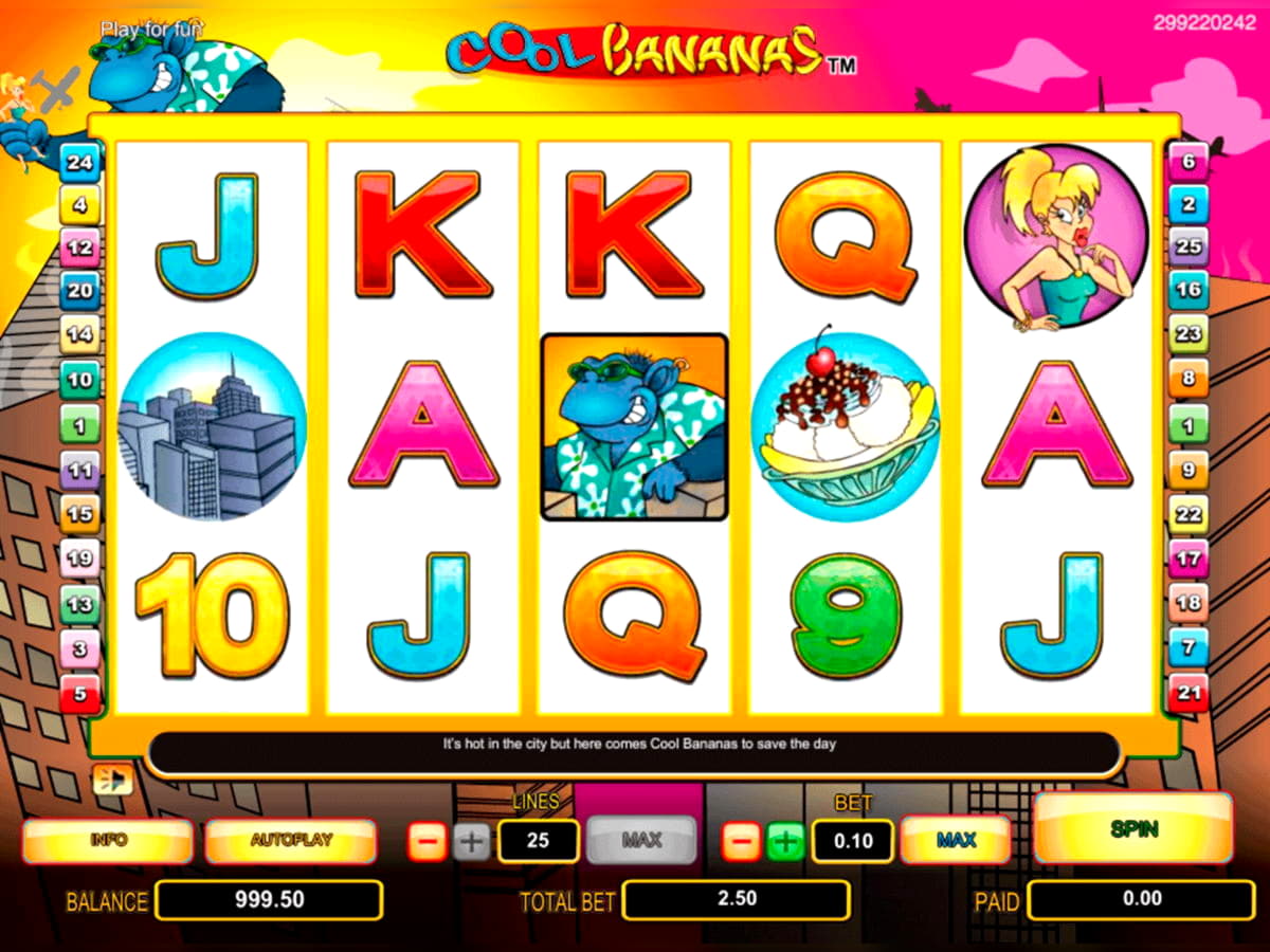 55 Free spins no deposit at Hippozino Casino