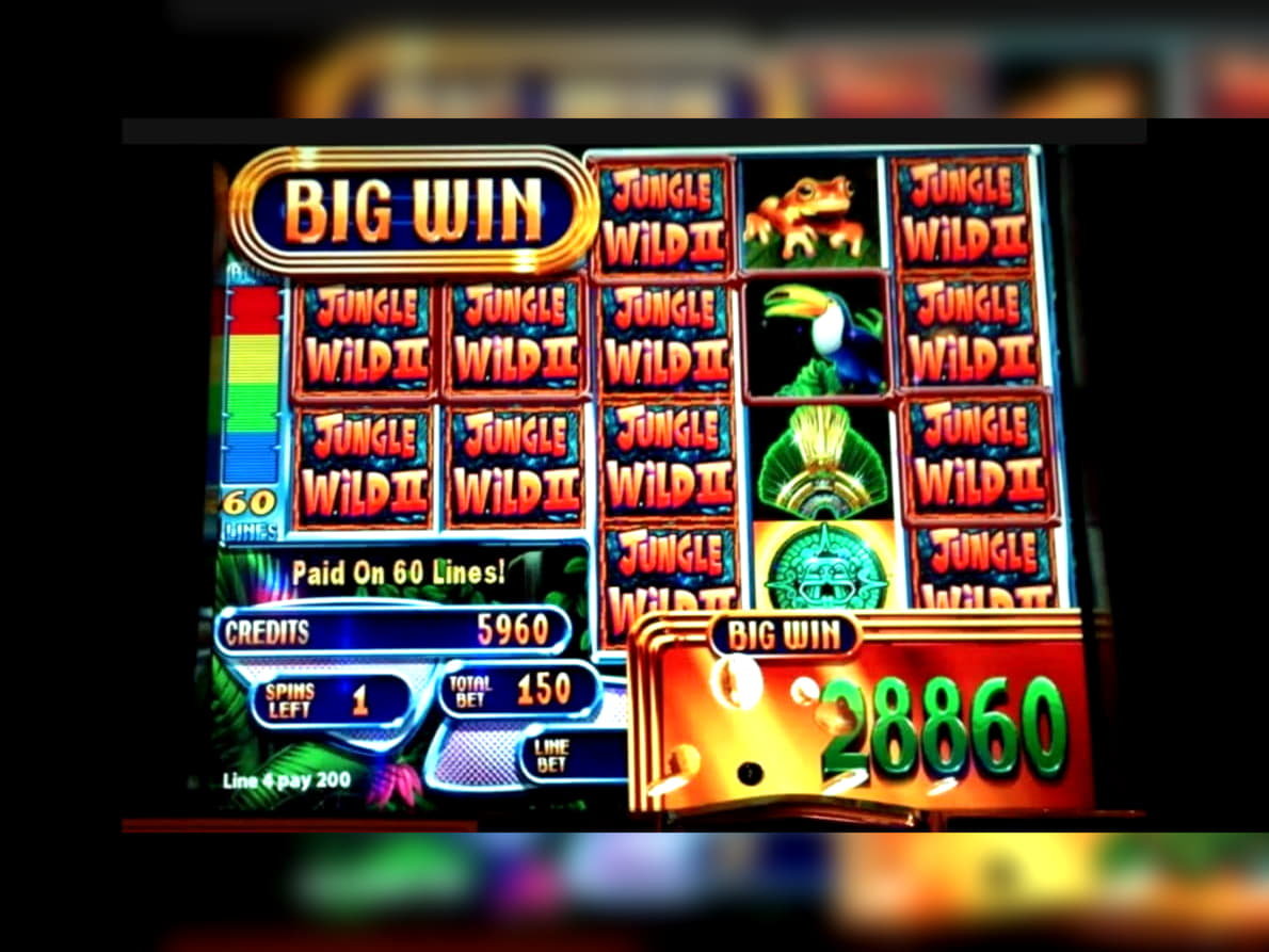 55 FREE SPINS at Vera and Jhon Casino