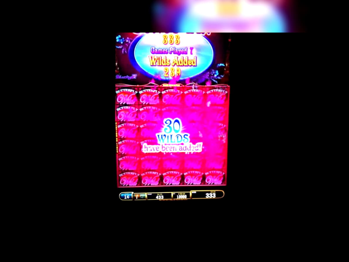 275 Loyal Free Spins! at Dubai Casino Online