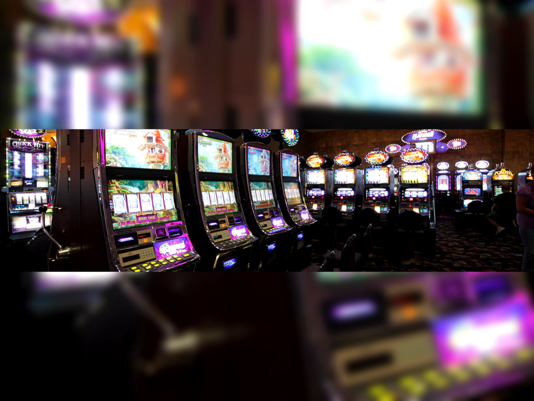 205 FREE Spins at Spin Palace Casino