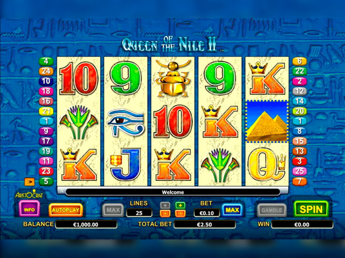 105 free spins at Campo Bet Casino