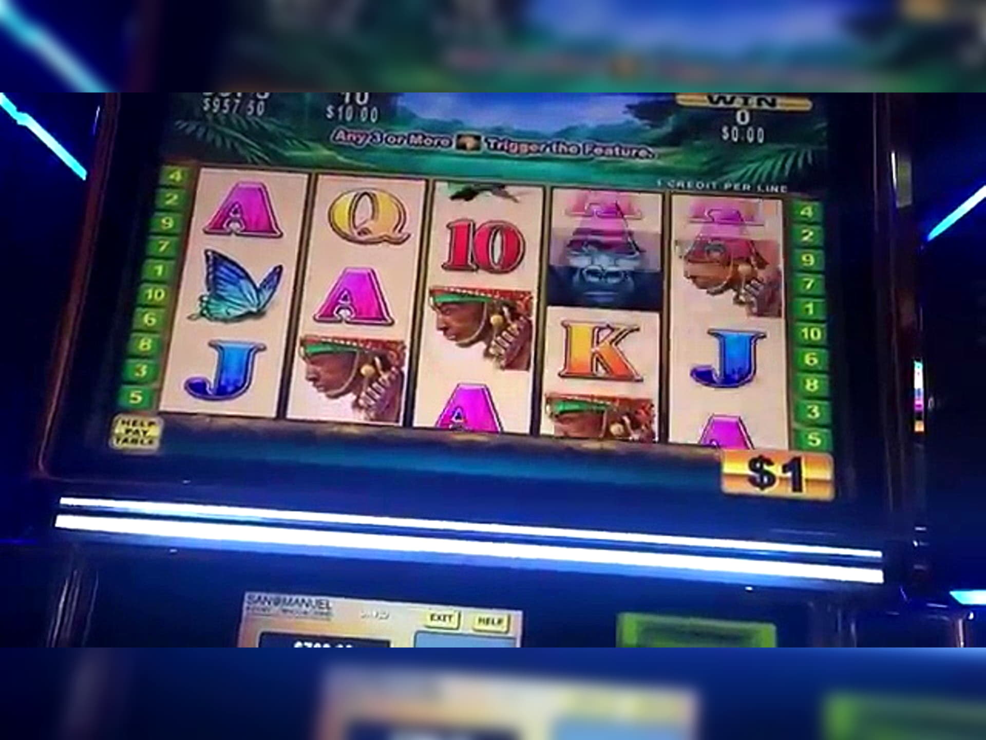655% Match Bonus at Leo Dubai Casino