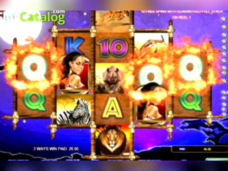 Eur 765 Free Casino Tournament at Spin Palace Casino
