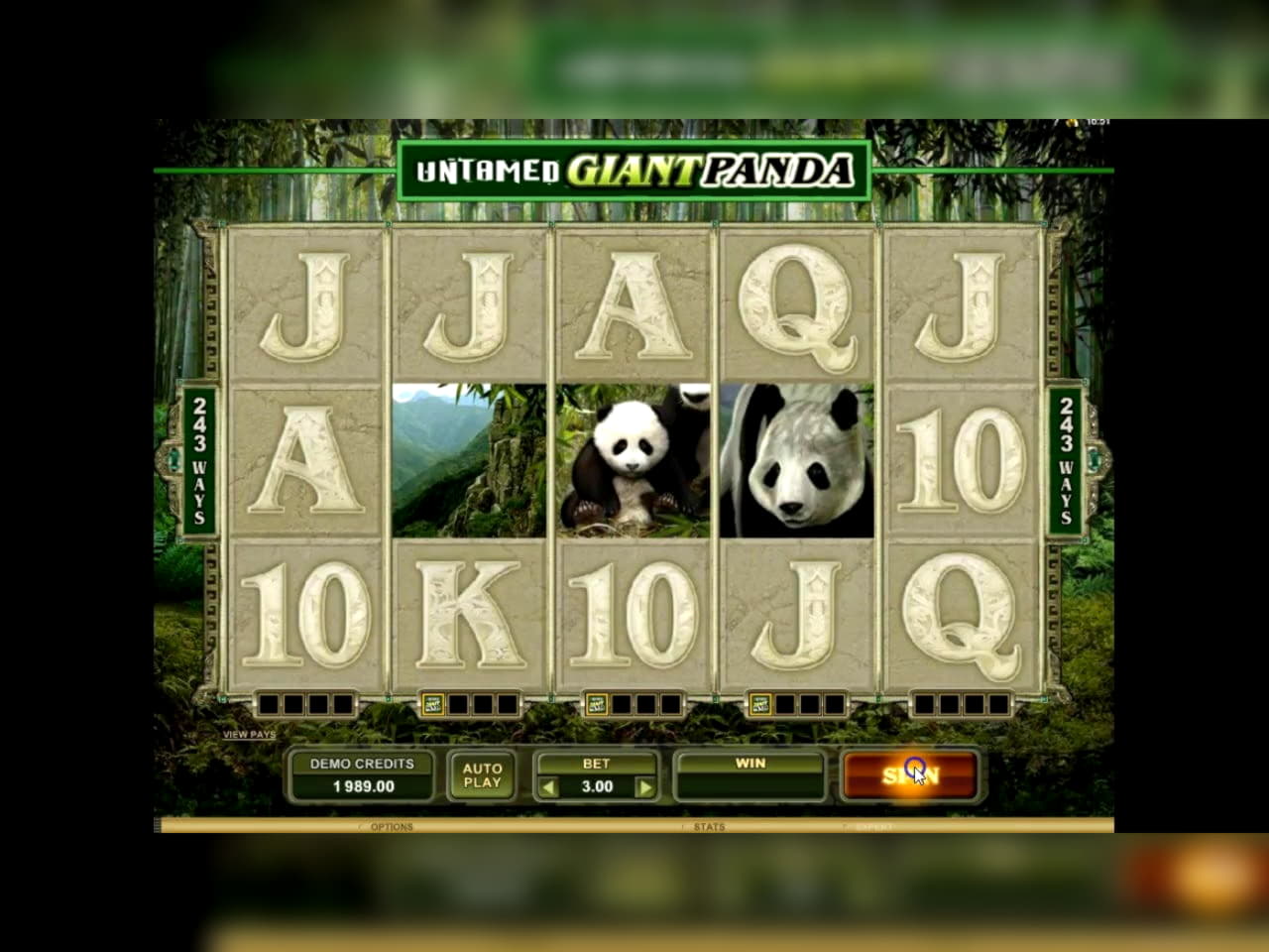 60% Signup Casino Bonus at Inter Casino
