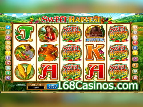 95 Περιστροφές χωρίς πίστη! στο Mummys Gold Casino