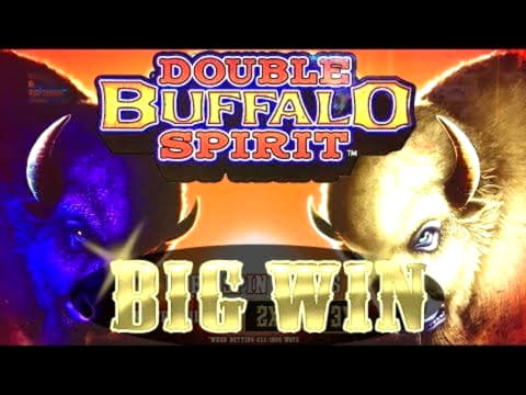 350% First Deposit Bonus at Bonanza Game Casino