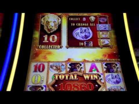 55 FREE SPINS at Grand Fortune Casino