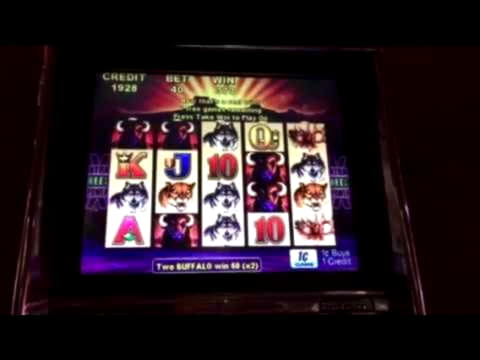 155 Free Spins at Trada Casino