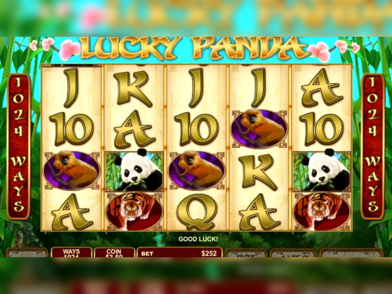 135 Free Spins no deposit at Estonia Casino 