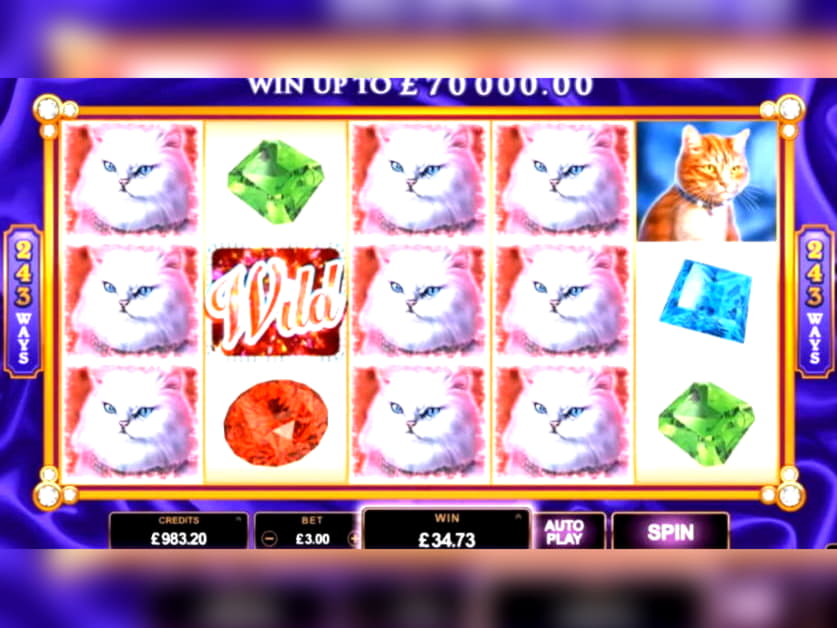 EUR 985 Online Casino Tournament at Netherlands Casino 