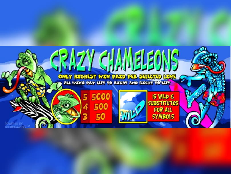 $350 Daily freeroll slot tournament at Zodiac Casino