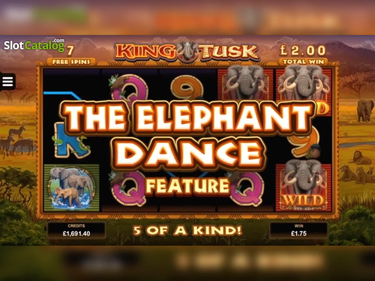 755% Welcome Bonus at Euro Palace Casino