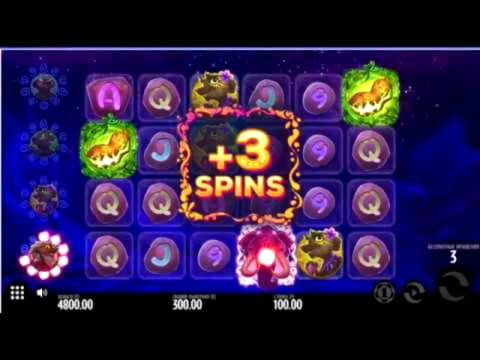 $33 Tournament at La Fiesta Casino