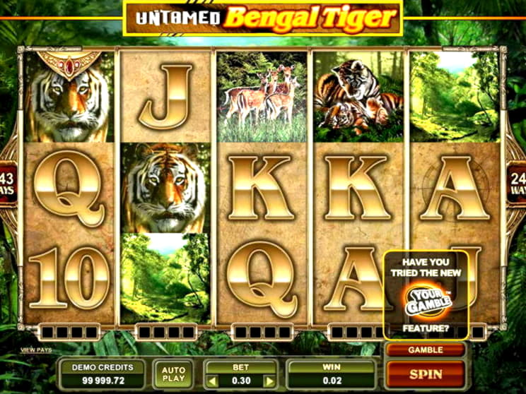 EUR 695 FREE CHIP CASINO at Joe Fortune Casino