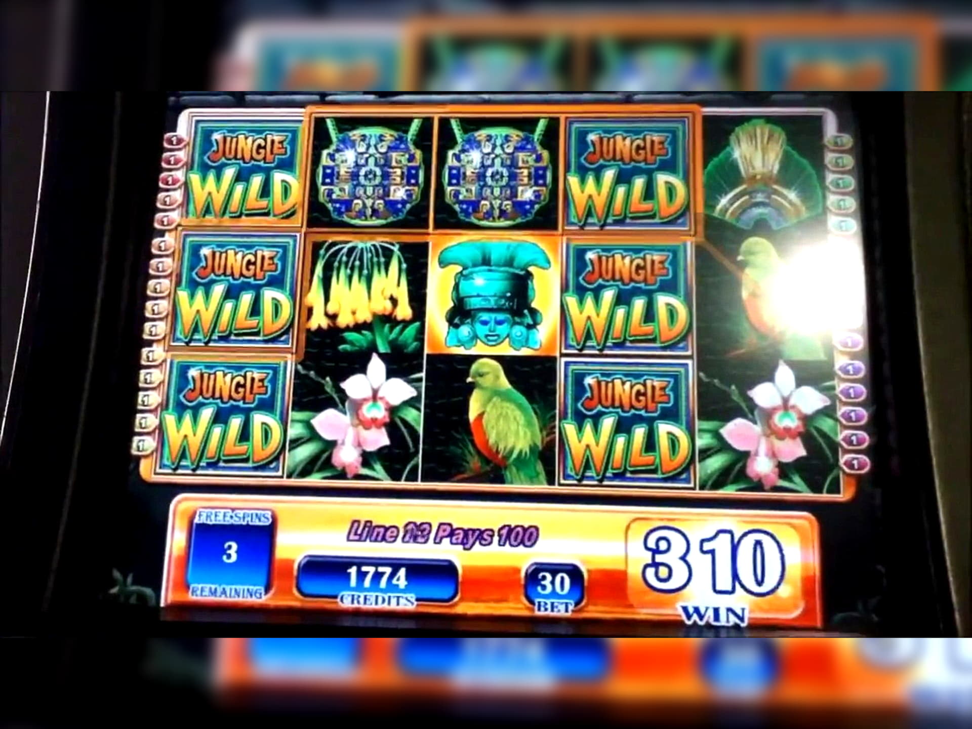 $525 Tournament at Malina Casino