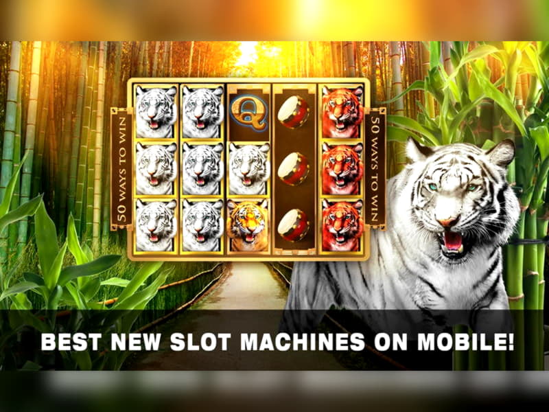 £4860 No deposit casino bonus at Red Spins Casino