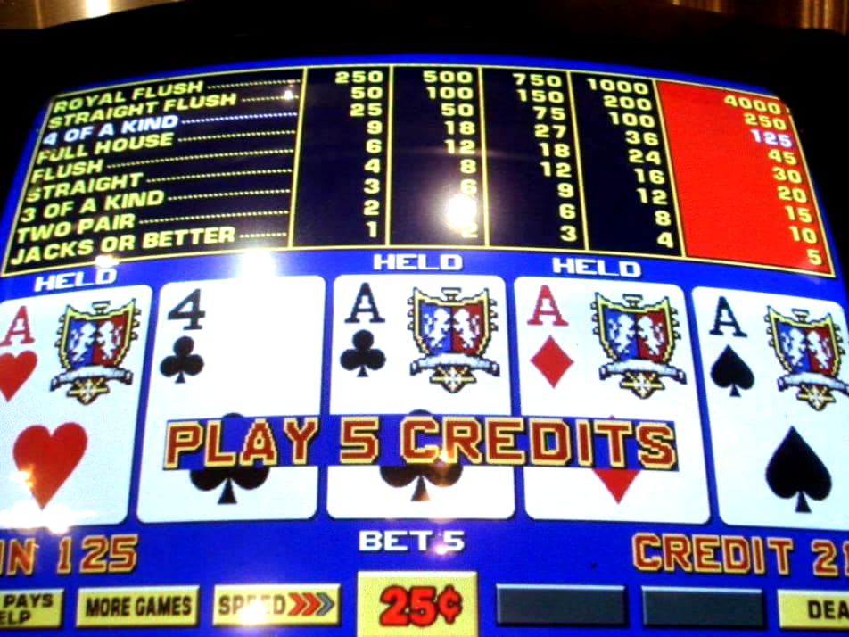 $695 free chip casino at Hippozino Casino