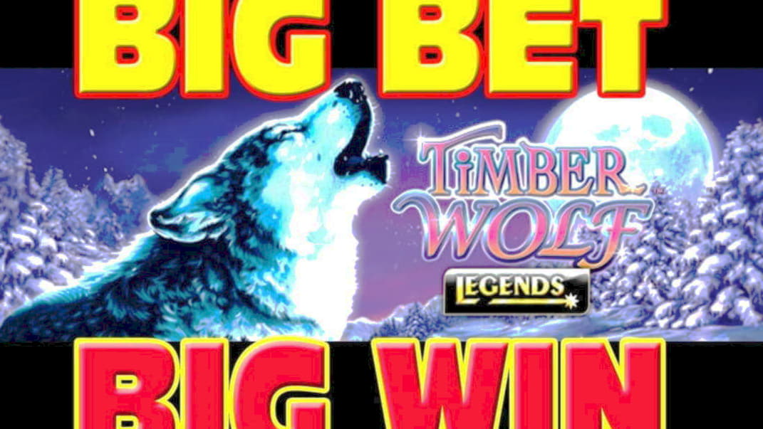 500% Best Signup Bonus Casino at 7 Reels Casino