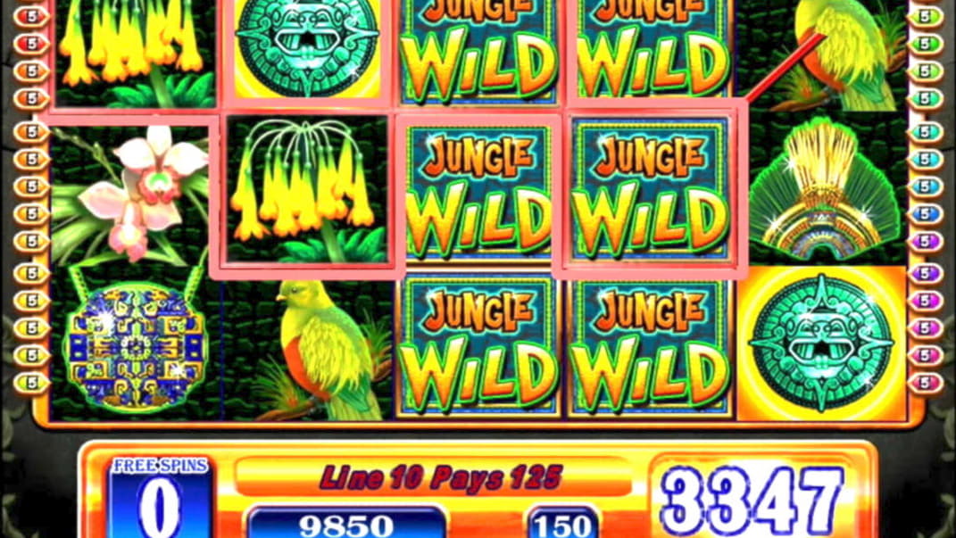 160 Free Spins Casino at Casino Cruise