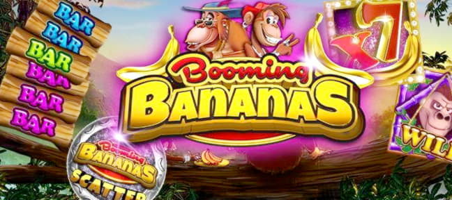 Eur 645 no deposit bonus at William Hill Casino