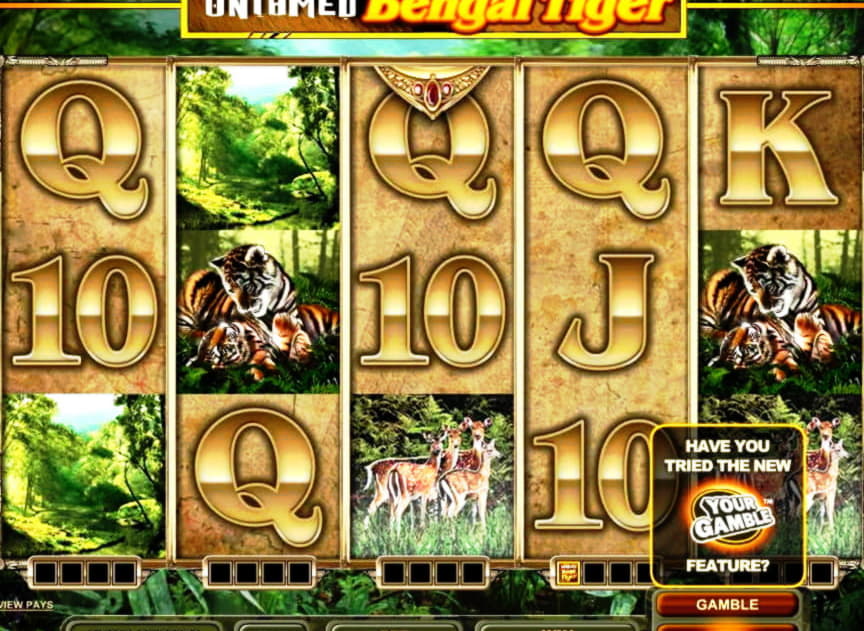 830% Welcome Bonus at Rizk Casino